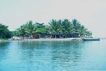 IM000393